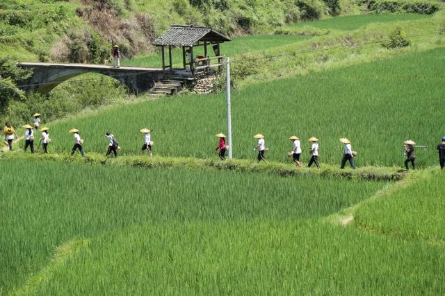 社會實踐課程詮釋“最具變革力”學(xué)校 深圳明德實驗學(xué)校培養(yǎng)學(xué)生的社會擔(dān)當(dāng)和感恩情懷
